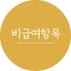 비급여항목