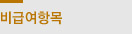 비급여항목